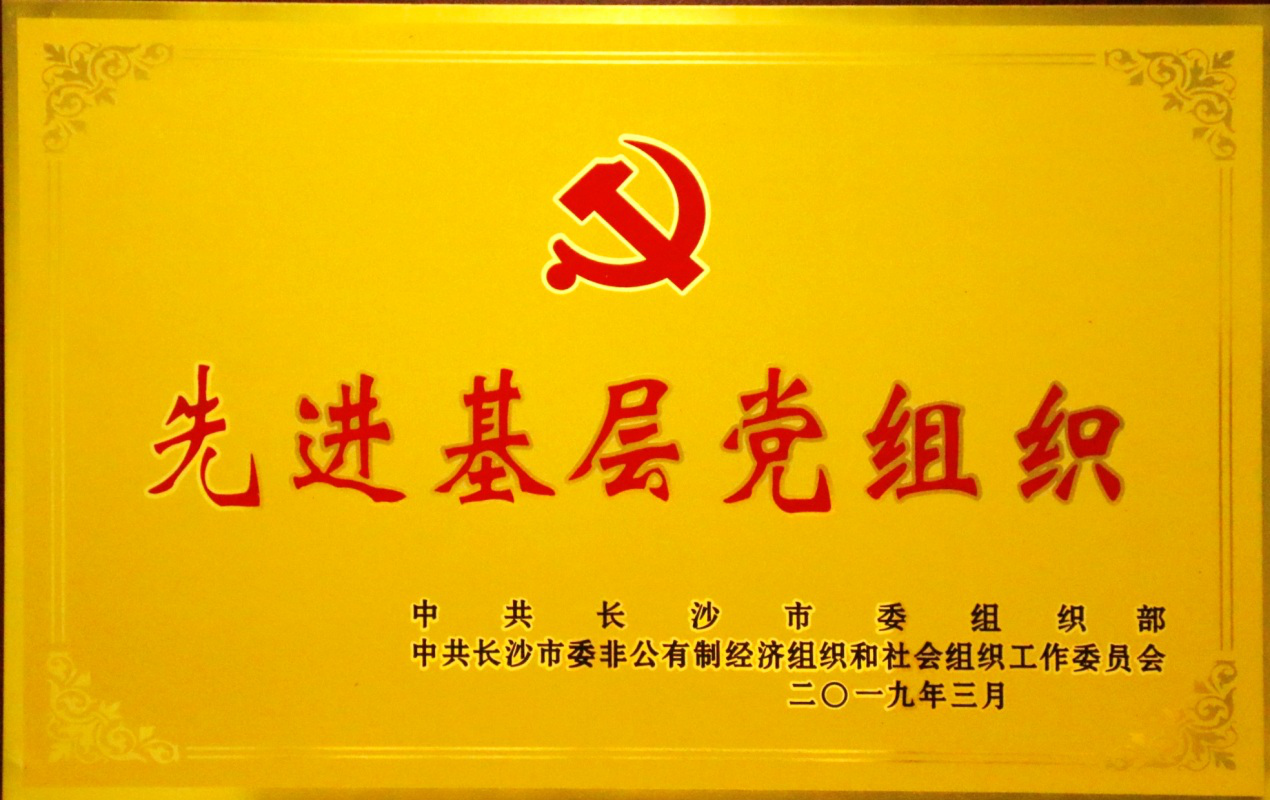 兩爭一創(chuàng)引領(lǐng)，五化建設(shè)保障，黨支部榮獲長沙市“先進(jìn)基層黨組織”稱號